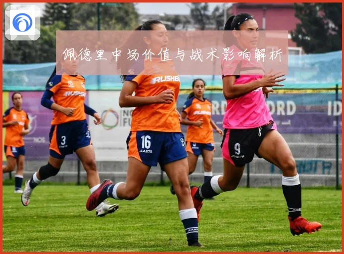 佩德里中场价值与战术影响解析