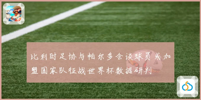 比利时足协与帕尔多会谈球员或加盟国家队征战世界杯数据研判