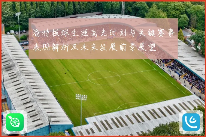 潘特板球生涯高光时刻与关键赛事表现解析及未来发展前景展望