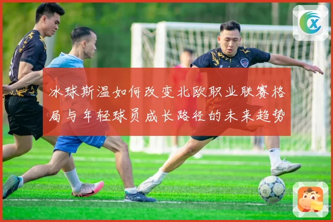 冰球斯温如何改变北欧职业联赛格局与年轻球员成长路径的未来趋势