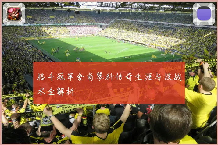 格斗冠军舍甫琴科传奇生涯与技战术全解析